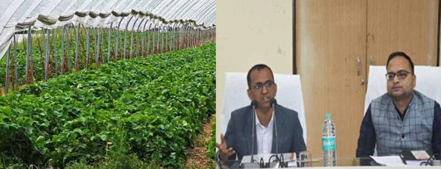 पीवीटीजी क्षेत्रों में उद्यानिकी योजनाओं के प्रभावी क्रियान्वयन पर विशेष फोकस कर