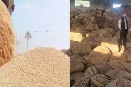 राइस मिलों से 1.77 करोड़ का अवैध धान जब्त
