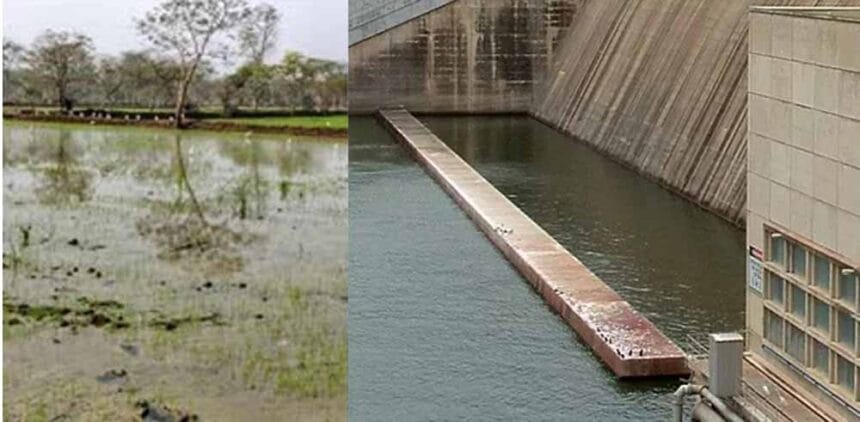 महासमुंद के किसानों को रबी फसल के लिए जलाशय से छोड़ा गया पानी