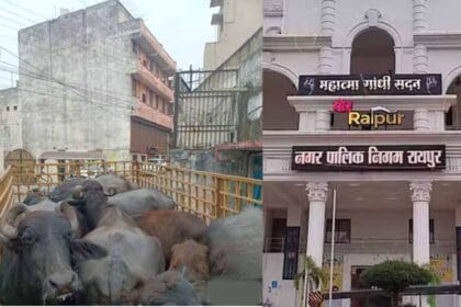 रायपुर नगर निगम ने डेयरी संचालक पर लगाया 10000 का ई-जुर्माना