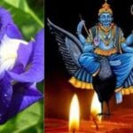 शनि की साढ़ेसाती और ढैय्या से छुटकारा दिलाएंगे खास फूल