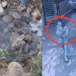 पंचकूला में मां के बॉयफ्रेंड ने बच्चे को अगवा कर मौत के घाट उतारा