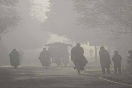 हरियाणा की नायब सरकार ने शीतलहर व पाले से बचने के लिए जारी की एडवाइजरी