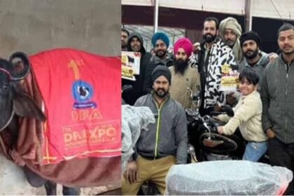 बिल्लू की “सुंदरा” भैंस ने 29.650 किलो दूध देकर जीता बुलेट