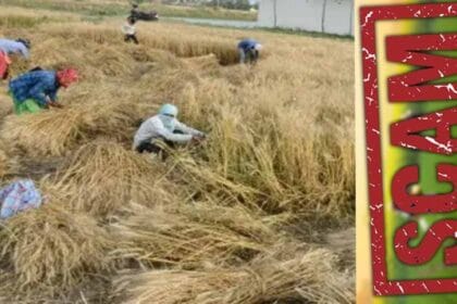 बीमा क्लेम घोटाले पर हरियाणा सरकार ने कृषि सयुंक्त निदेशक को किया निलंबित