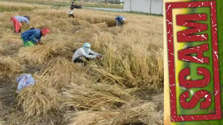 बीमा क्लेम घोटाले पर हरियाणा सरकार ने कृषि सयुंक्त निदेशक को किया निलंबित
