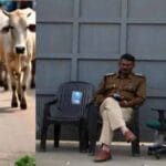 गोमांस को भैंस का सर्टिफाइड कर डॉ. बीपी गौर की मिलीभगत से खाड़ी देशों में हो रहा