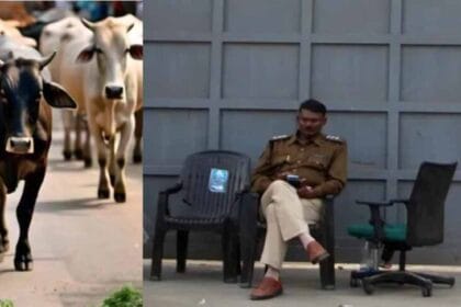 गोमांस को भैंस का सर्टिफाइड कर डॉ. बीपी गौर की मिलीभगत से खाड़ी देशों में हो रहा