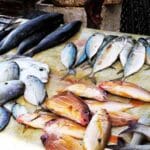 ओडिशा के कोरापुट में विवाद के बाद फैसला पलटा, 26 जनवरी पर मांसाहार बिक्री पर अब