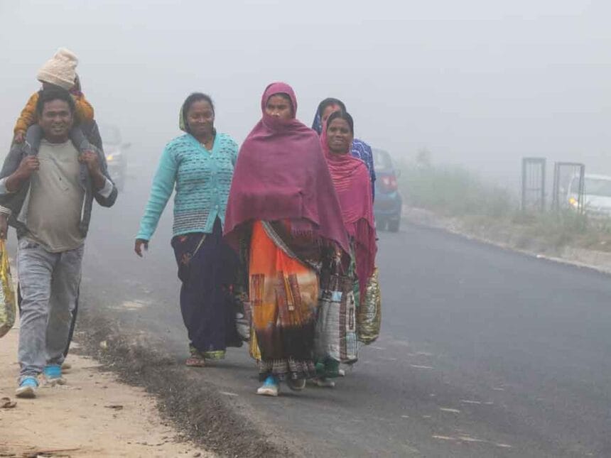 सर्दी का कहर: उत्तर भारत ठंड की गिरफ्त में, एक हफ्ते तक कोहरे का अलर्ट; जानें शी