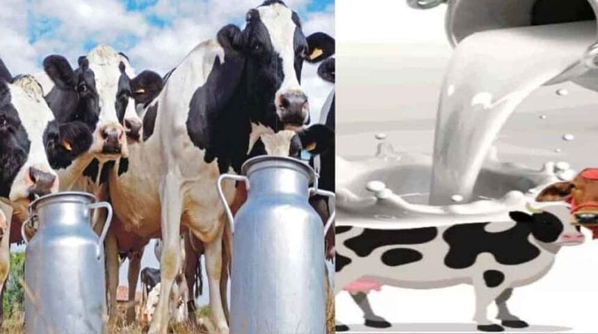 प्रदेश में बनेगी पहली सहकारी क्षेत्र की अत्याधुनिक राज्य स्तरीय डेयरी परीक्षण प्