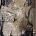 एयरपोर्ट बना तस्करी का अड्डा! अहमदाबाद में 12.50 करोड़ की ड्रग्स पकड़ी, चार लोग