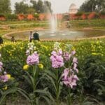 राष्ट्रपति भवन के अमृत उद्यान का उद्घाटन: प्रवेश, टिकट रियायत और समय से जुड़ी सब