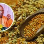 खरीफ विपणन वर्ष 2025-26 के लिए पूरी हुई श्रीअन्न की खरीद