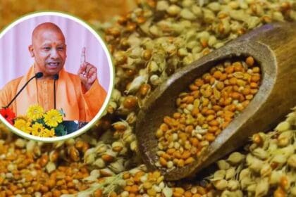 खरीफ विपणन वर्ष 2025-26 के लिए पूरी हुई श्रीअन्न की खरीद