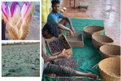 योजना का तेजी के साथ हो रहा है क्रियान्वयन