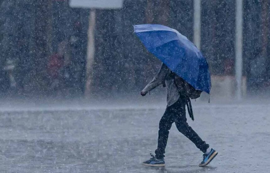 ग्वालियर, भोपाल समेत कई शहरों में घना कोहरा, एमपी में मौसम ने बदला रुख; बारिश और