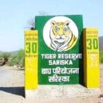 CTH और बफर क्षेत्र निर्धारण पर विवाद, सरिस्का में 9 जनवरी को होंगी विशेष ग्राम स