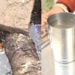 MP में पानी का संकट गहराया: गांवों में भी सप्लाई हो रहा दूषित पानी, रिपोर्ट ने ख