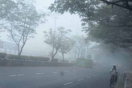 कोहरे की चादर में लिपटा गौरेला-पेंड्रा-मरवाही, शीतलहर ने बढ़ाई लोगों की मुश्किले