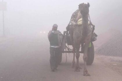 शीतलहर की चपेट में राजस्थान, कई इलाकों में तापमान 10 डिग्री से कम