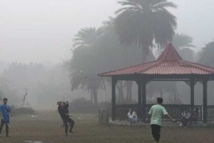 राजस्थान में घने कोहरे का कहर, 20 जिलों में ऑरेंज-येलो अलर्ट, श्रीगंगानगर में आं