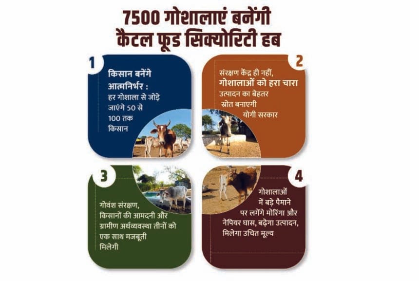 7500 गोशालाएं बनेंगी कैटल फूड सिक्योरिटी हब