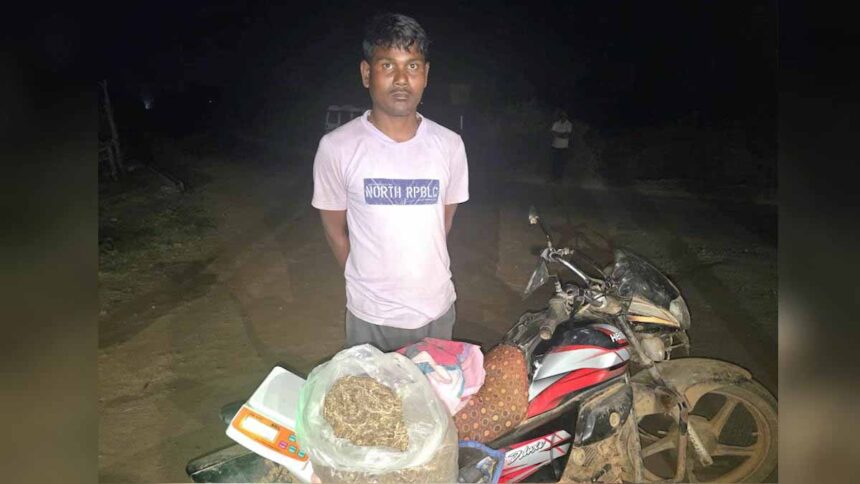 अवैध गांजा परिवहन का भंडाफोड़, बाइक से मादक पदार्थ ले जा रहा आरोपी गिरफ्तार