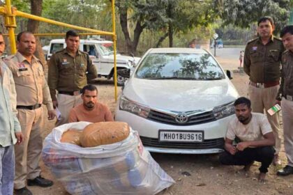 ड्रग्स के खिलाफ बड़ी कार्रवाई: 50 किग्रा गांजा के साथ दो आरोपी पकड़ाए, कड़ियों क