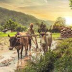 “देश के विभिन्न राज्यों में किसान कर्ज की स्थिति: एमपी में ₹74,420, आंध्र में ₹2