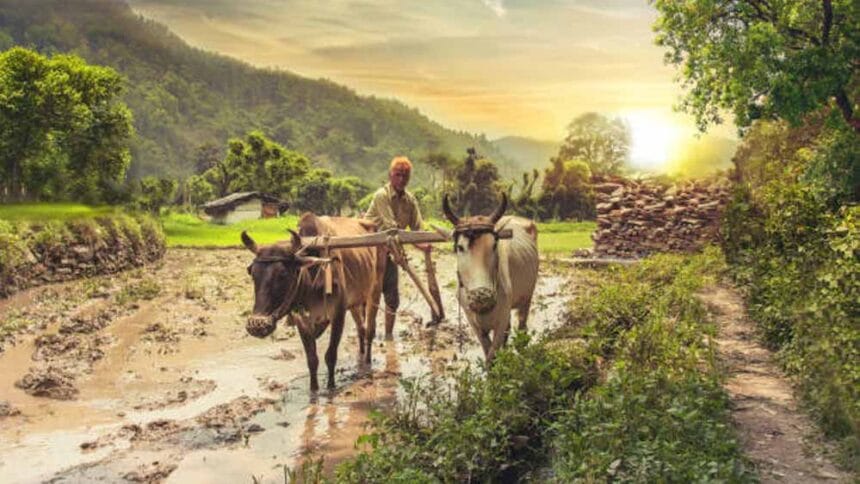 “देश के विभिन्न राज्यों में किसान कर्ज की स्थिति: एमपी में ₹74,420, आंध्र में ₹2 1 “देश के विभिन्न राज्यों में किसान कर्ज की स्थिति: एमपी में ₹74,420, आंध्र में ₹2
