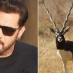 काला हिरण मामले में सलमान खान को बड़ी राहत, हाईकोर्ट ने अनादर बेंच को जारी किए आ