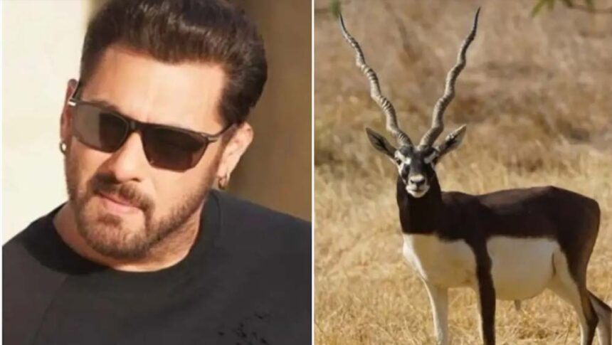 काला हिरण मामले में सलमान खान को बड़ी राहत, हाईकोर्ट ने अनादर बेंच को जारी किए आ