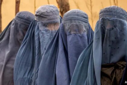 घरेलू हिंसा पर अंतरराष्ट्रीय बहस: अफगानिस्तान बनाम भारत के कानून कितने अलग?