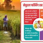 बुंदेलखंड पर विशेष फोकस, सातों जिलों में जलधारण क्षमता बढ़ने से खेती अधिक टिकाऊ ब