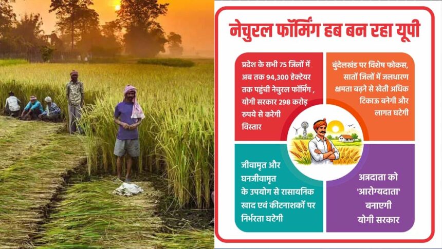 बुंदेलखंड पर विशेष फोकस, सातों जिलों में जलधारण क्षमता बढ़ने से खेती अधिक टिकाऊ ब