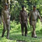 सरकारी नौकरी का अवसर: फॉरेस्ट गार्ड के 779 पद खाली, आज ही करें आवेदन