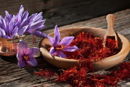 कश्मीर के किसानों की मांग: केसर उत्पादन गिरने के बाद सोलर पंप से हो खेती आसान