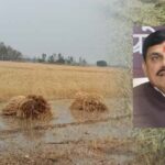 एमपी के 25 जिलों में बारिश से फसलें प्रभावित, सीएम मोहन ने दिए राहत उपायों के नि