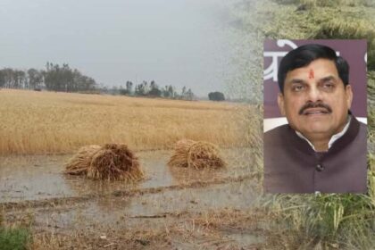 एमपी के 25 जिलों में बारिश से फसलें प्रभावित, सीएम मोहन ने दिए राहत उपायों के नि