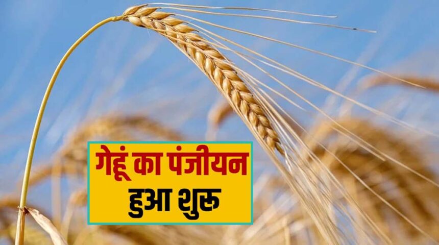 4 लाख 42 हजार से अधिक किसानों ने गेहूँ उपार्जन के लिए समर्थन मूल्य पर पंजीयन करा