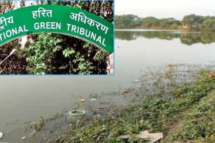 नेशनल ग्रीन ट्रिब्यूनल ने उज्जैन में सप्त सागरों की बदहाली पर जताई चिंता