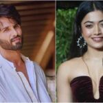 शाहिद–रश्मिका की नई जोड़ी: ‘कॉकटेल 2’ के बाद रोमांटिक कॉमेडी फिल्म पर बनी सहमति