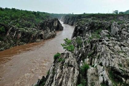 मध्य प्रदेश की जीवनरेखा नर्मदा पर NGT का सख्त रुख, पर्यावरण सचिव से रिपोर्ट तलब