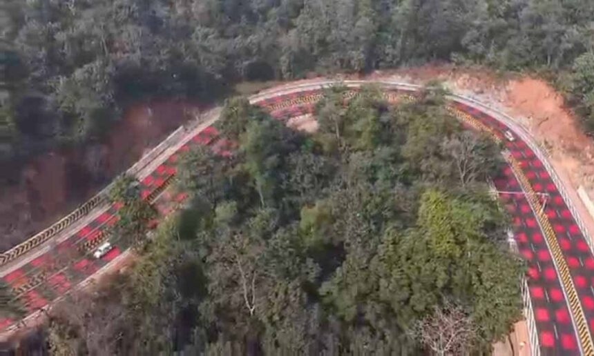 देश की खूबसूरत लाल सड़क पर संकट, जानवरों की सुरक्षा में चोरों का हस्तक्षेप, एलईड