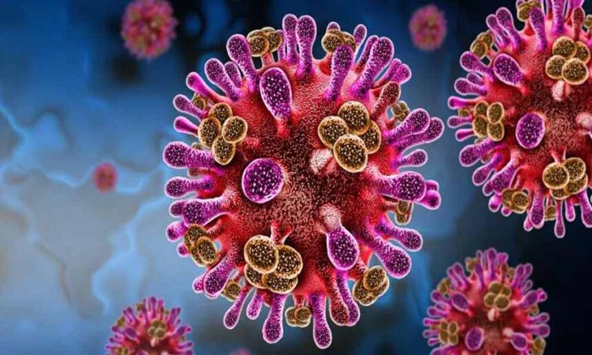 बांग्लादेश में निपाह वायरस की आहट, कच्चा खजूर रस पीने से महिला की मौत, WHO ने अल