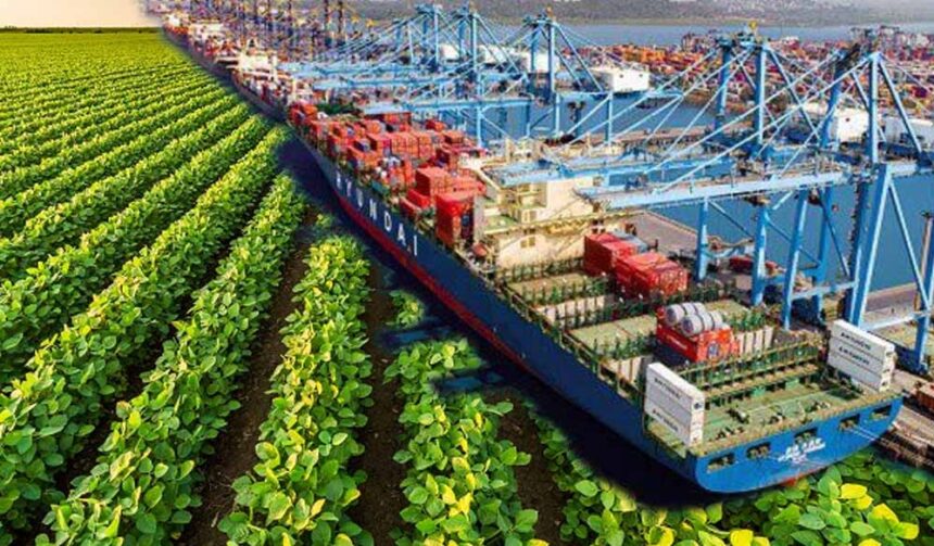 केंद्र ने खोला छत्तीसगढ़ के लिए खजाना, 5 नए मेडिकल हब और रायपुर एयरपोर्ट को मिले