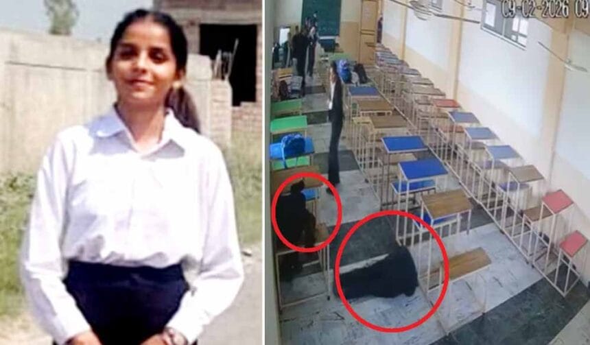 तरनतारन कॉलेज में स्टूडेंट ने छात्रा को मारी गोली, फिर आरोपी छात्र ने भी की आत्म