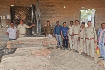 सक्ती वन परिक्षेत्र एवं उड़नदस्ता की संयुक्त कार्रवाई