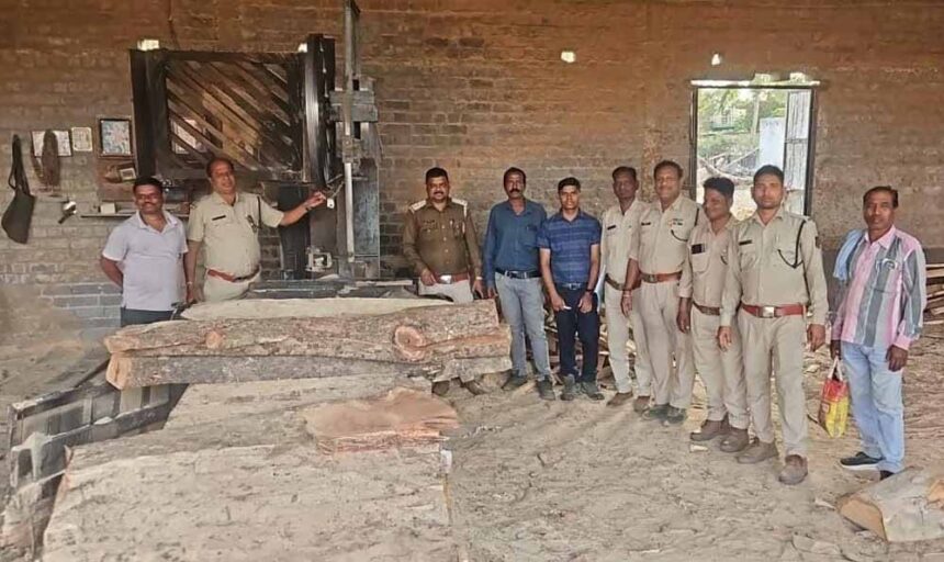 सक्ती वन परिक्षेत्र एवं उड़नदस्ता की संयुक्त कार्रवाई